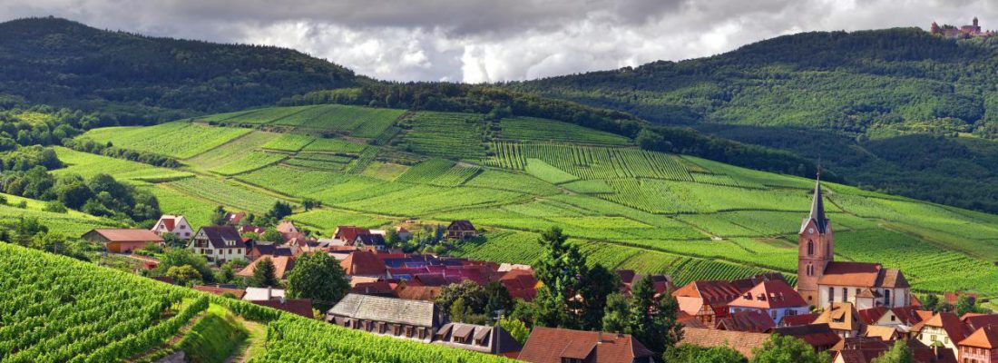 Stuck in the Middle With Alsace