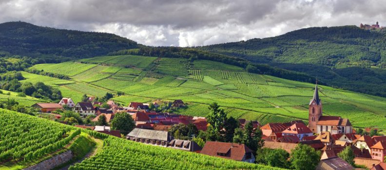 Stuck in the Middle With Alsace